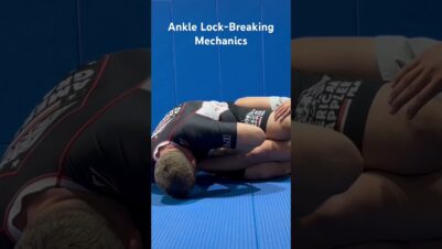 Ankle-Lock-Breaking-Mechanics-Achilles-Lock