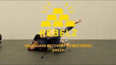 Half-Guard-to-Butterfly-Sweep