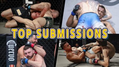 Top-MMA-Submissions-2024